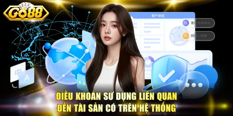 Điều khoản sử dụng liên quan đến tài sản có trên hệ thống